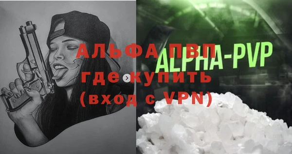 индика Гусев