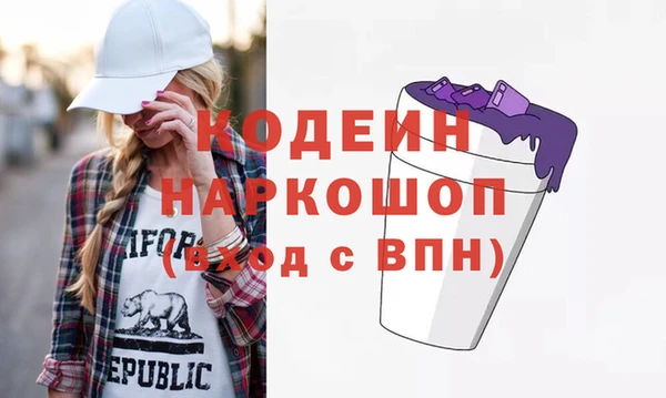 индика Гусев