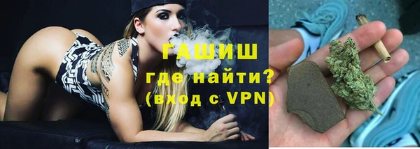 индика Гусев