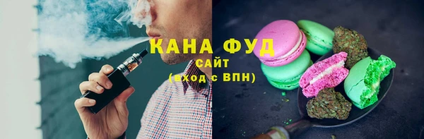 индика Гусев