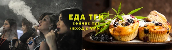 индика Гусев