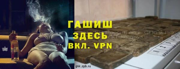 индика Гусев