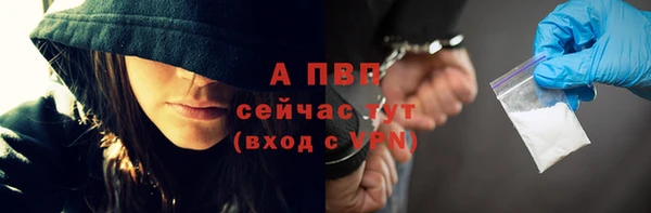индика Гусев