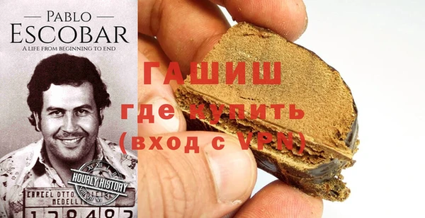 индика Гусев