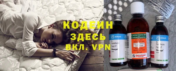 индика Гусев