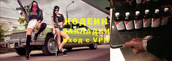 индика Гусев