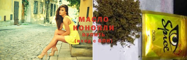 индика Гусев