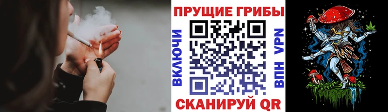 Купить закладки  Луза  Галлюциногенные грибы GOLDEN TEACHER 