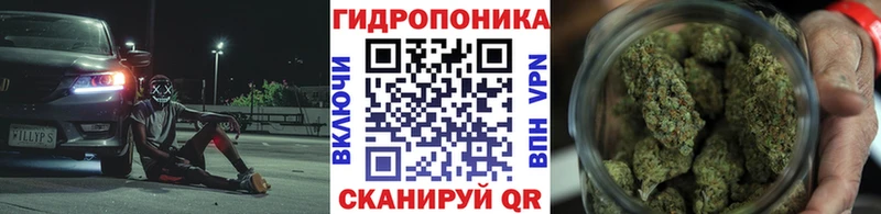 Купить  Луза  Шишки марихуана OG Kush 